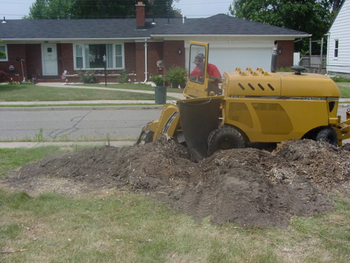 ./Gallery/2011 Bennet Lot Tree Removal/DSC06482.JPG